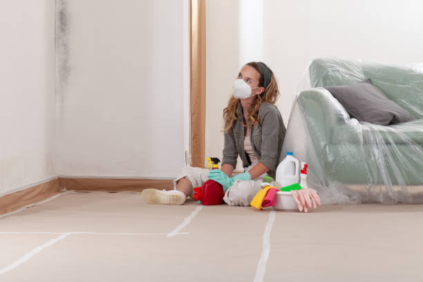 Reliable Mold Removal contractor in Washington, NC by WQB Mold Removal